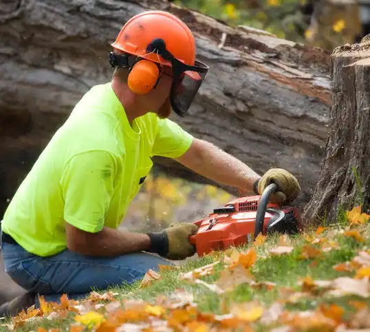 tree services Benkelman